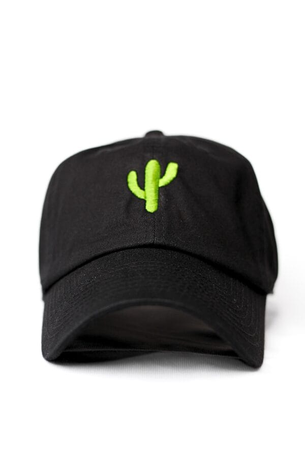 Cactus koala embroidered cap